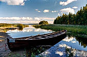 Punkaharju, Savonlinna. La zona nei pressi di Lusto, il museo della foresta finlandese. 